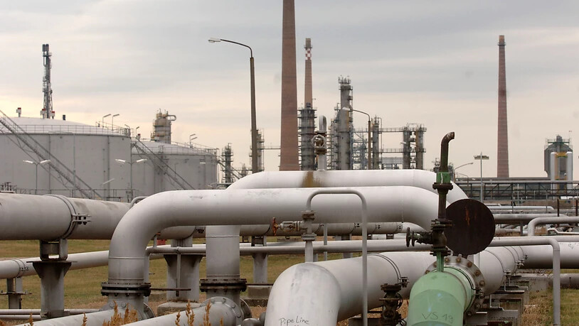 Blick auf eine Pumpanlage am Ende der Erdöl-Pipeline "Druschba" (Freundschaft) in der Raffinerie PCK. (Archivbild)