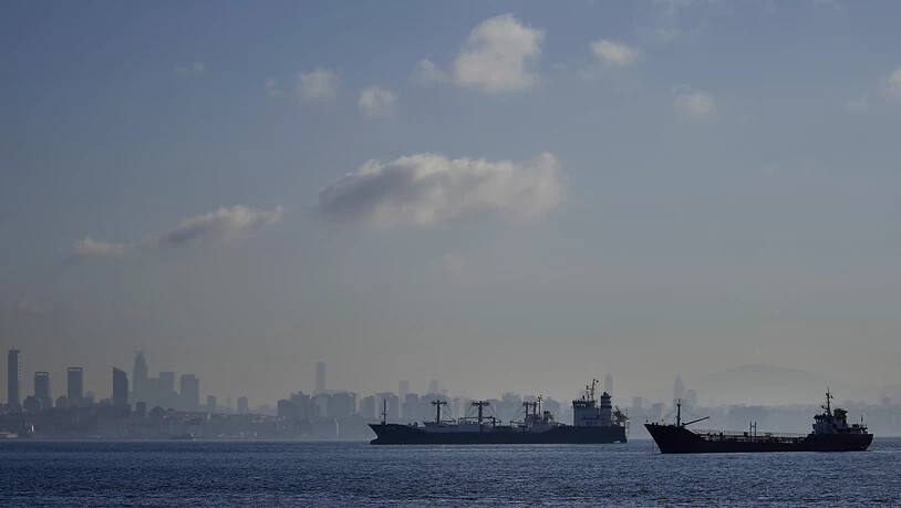 Ukrainische Getreide-Schiffe werden inspiziert, um sicherzustellen, dass sie keine Waffen oder Ähnliches geladen haben. Foto: Khalil Hamra/AP/dpa