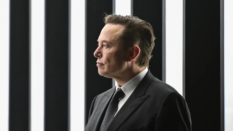 ARCHIV - Elon Musks Zeit als «Head of Twitter» waren von Chaos und Kontroversen geprägt. Foto: Patrick Pleul/dpa