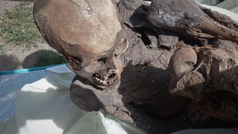 Die Polizei fand die Überreste der Mumie am Samstag in der Tasche bei einer Patrouille in einem Park in der peruanischen Stadt Puno.