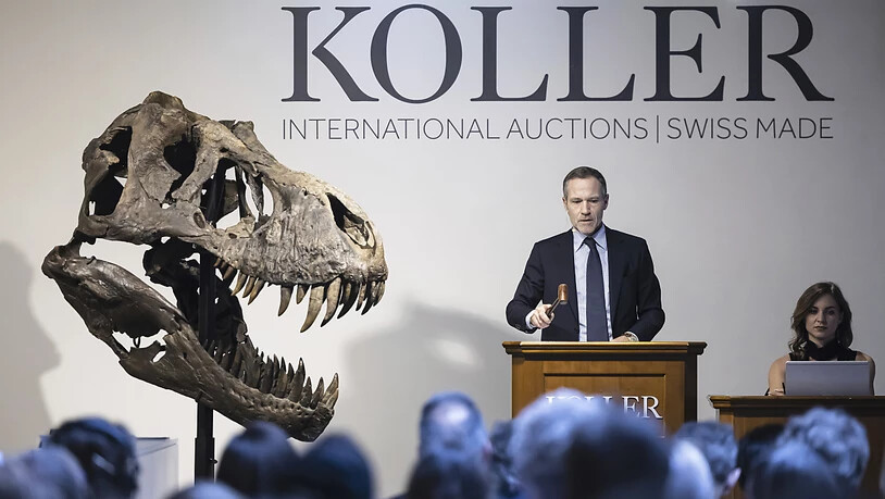 Das T-Rex-Skelett "Trinity" wurde am Dienstag in Zürich für 4,8 Millionen Franken versteigert.