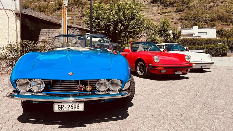 Sieben verschiedene Dino-Modelle am Event: Gäste können am Freitag die Autos betrachten.