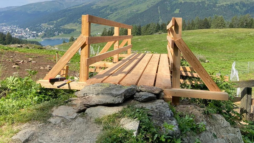 Neue Brücke auf der Drusatscha.