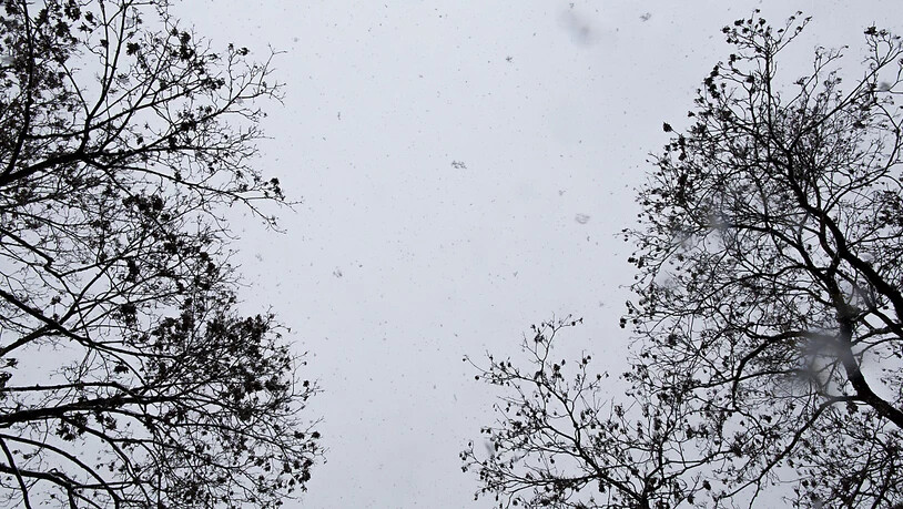 Auch im Flachland gab es in der Schweiz teilweise Schnee. (Archivbild)