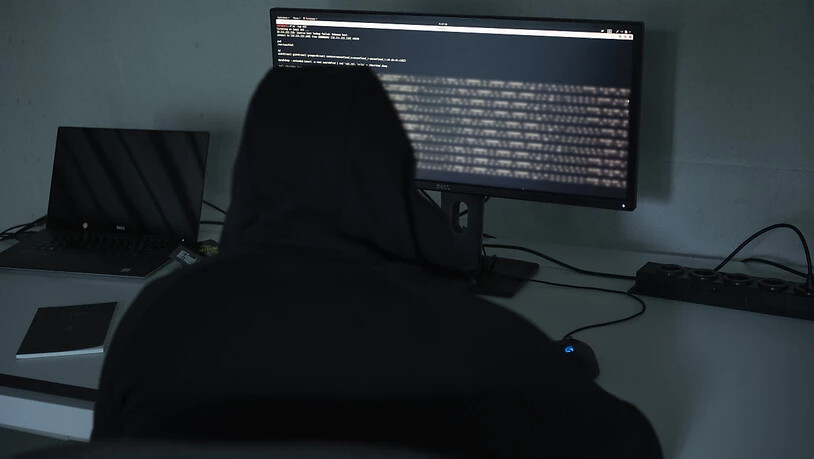 Bei rund der Hälfte aller Cyberkriminaldelikte kann mit der Online-Strafanzeige auf den Gang zum Polizeiposten verzichtet werden. (Symbolbild)