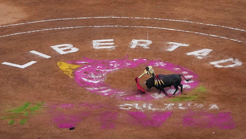 Ein Stierkämpfer tritt während eines Stierkampfes auf der Plaza Mexico in Mexiko-Stadt auf. Foto: Fernando Llano/AP/dpa