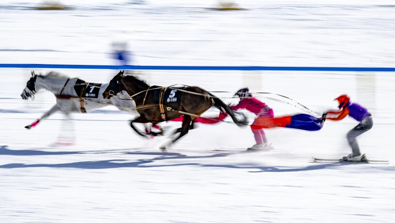 Skikjöring: Das Pferd zieht den Fahrer auf Skiern hinter sich her.