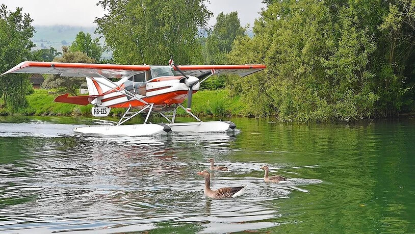 Vorbei an Enten und Gänsen: In der Schweiz gibt es nur noch fünf Wasserflugzeuge, der einzige Wasserflugplatz gibt es am Obersee.