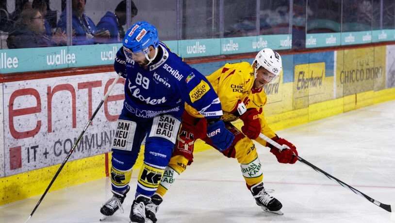 Verletzte sich am Donnerstag gegen Kloten folgenschwer am Knie: Tigers-Stürmer Michal Kristof (rechts)