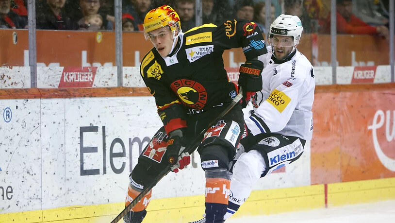 Waltteri Mereläs Siegtor in der Verlängerung gibt dem SCB Hoffnung auf die Wende gegen Gottéron