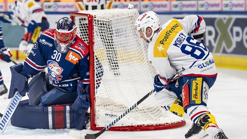 Mit Simon Hrubec steht auch bei den ZSC Lions ein absoluter Topgoalie zwischen den Pfosten