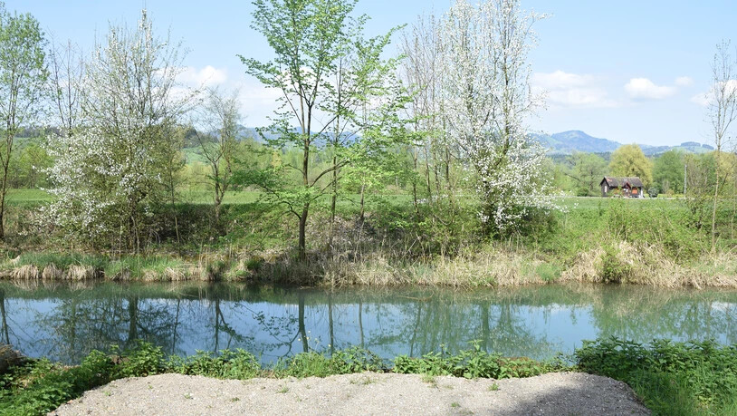 Hier hätte der Steg zu stehen kommen sollen: Neben dem Linthkanal wollte die Agglo Obersee einen Fussgängersteg über den Nebenkanal Alte Linth bauen.