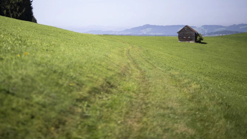 Trügerische Idylle: Die Eggersrieter Höhe ist eines der Gebiete, in welchem mit PFAS-Chemikalien belastete Flächen festgestellt wurden.