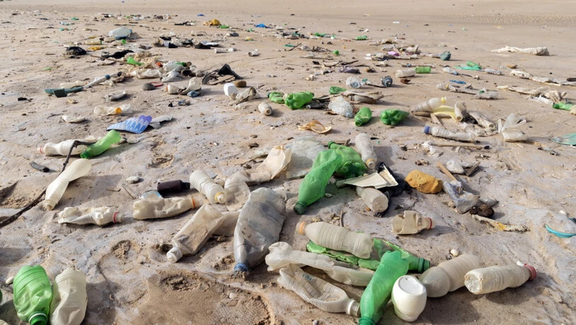 Der Vertrag soll den gesamten Zyklus des Plastiks umfassen, von der Produktion über das Design bis zum Umgang mit Abfall. (Archivbild)