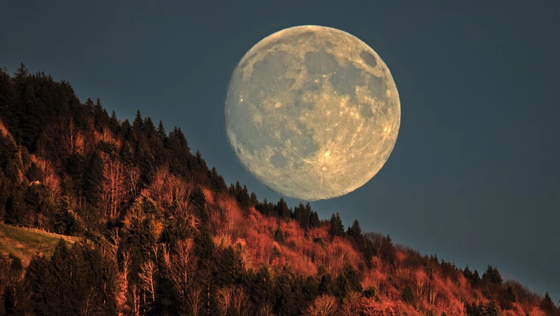 Eingebettet in die Landschaft: Der Supermond aufgenommen vom Kaltbrunner Riet mit der Hügelkette ob Rieden. 