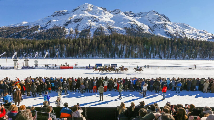 Beim White-Turf-Auftakt am Sonntag kämpfen auf dem zugefrorenen St. Moritzersee 47 Pferde um insgesamt 104'000 Franken