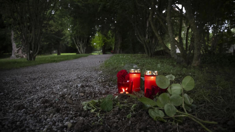 In einem psychotischen Schub tötete ein 19-Jähriger im Alma Park in Männedorf eine Joggerin. Nun kommt er deswegen vor Gericht. (Archivbild)