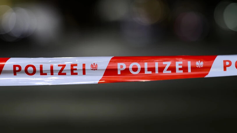 Nach einem tödlichen Messerangriff in Linz nahm die Polizei den Angreifer fest. (Archivbild)