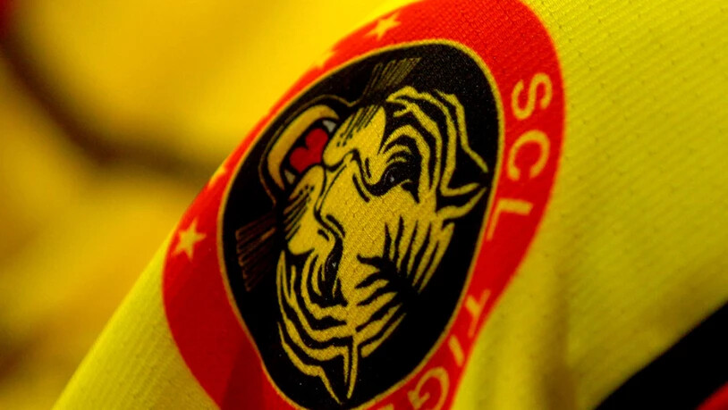 Die SCL Tigers verpflichten mit dem Stürmer Emil Pettersson einen weiteren Schweden