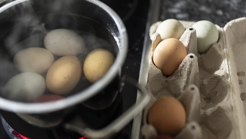 Ein Ei hartkochen ist einfach? Offenbar nicht, wenn man ein perfekt gekochtes Ei will. (Symbolbild)