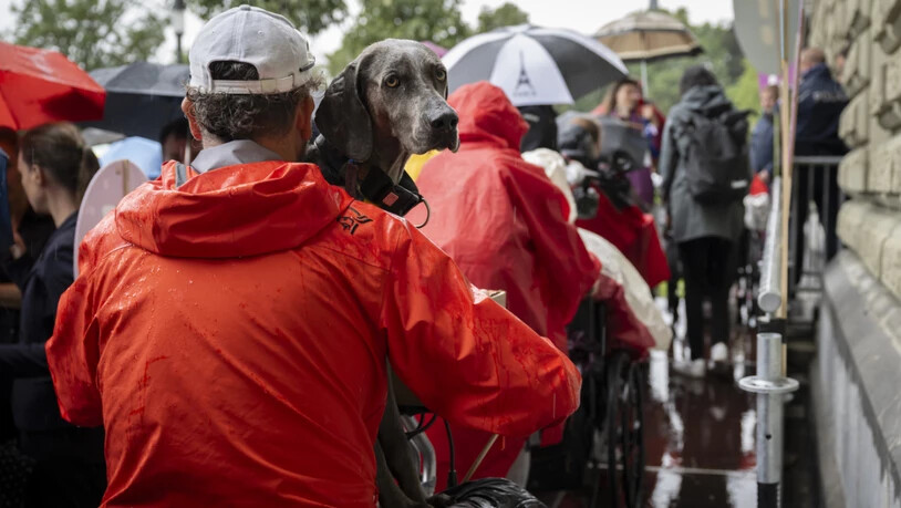 Assistenzhund im Einsatz bei einer Unterschriftenübergabe in Bern. Die zuständige Nationalratskommission will für mehr Qualität bei der Ausbildung der vierbeinigen Helfer sorgen. (Archivbild)