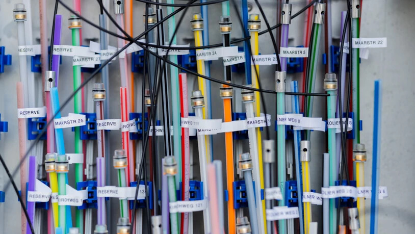 Fünf junge Männer sollen mehrfach das Glasfaser-Kabelnetz in Rheinfelden AG durchschnitten haben. (Symbolbild)