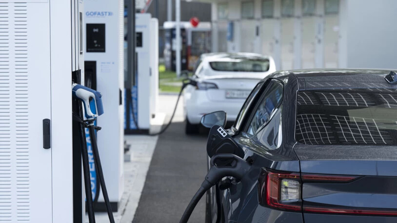 Aufgrund der steigenden Ölpreise gewinnen Elektroautos an Beliebtheit. (Symbolbild)