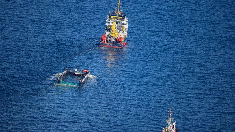 Der Buckelwal wird in seiner Barge vom Schlepper Fortuna B entlang der dänischen Küste in Höhe Aarhus in Richtung Nordsee durch die Ostsee gezogen, die Robin Hood begleitet den Konvoi weiterhin. Foto: Christoph Reichwein/dpa