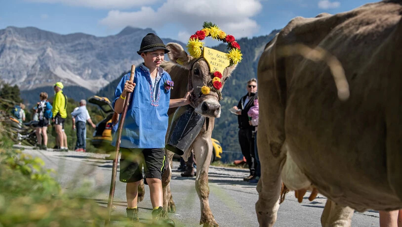 Das Prättigauer Alp Spektakel präsentierte einen gelungenen Mix aus währschafter Schweizer Alpkultur, moderner Alpwirtschaft und lebendigen Traditionen. 