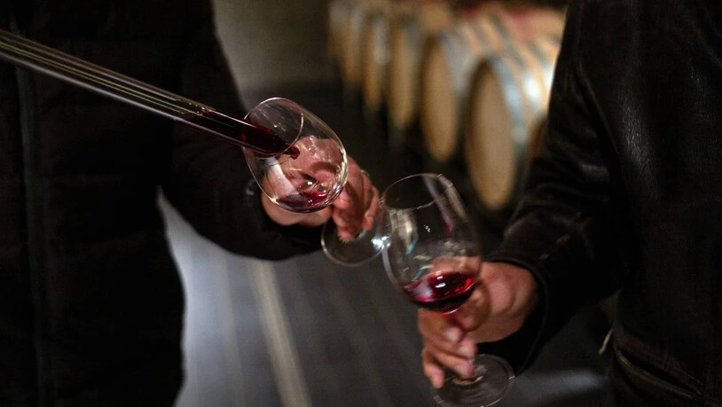 Gutes Ergebnis: Bei den insgesamt 19 untersuchten Weinen fiel nur ein Mangel auf.