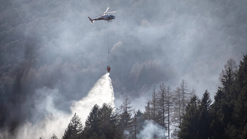 Löscharbeiten in den Hügeln von Gambarogno am Lago Maggiore am  1. Februar – auch im Kanton Tessin gilt ein Feuerverbot.