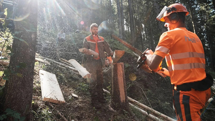 Im Glarner Wald: Zivilschützer bauen eine Wasserleitung oberhalb von Filzbach.