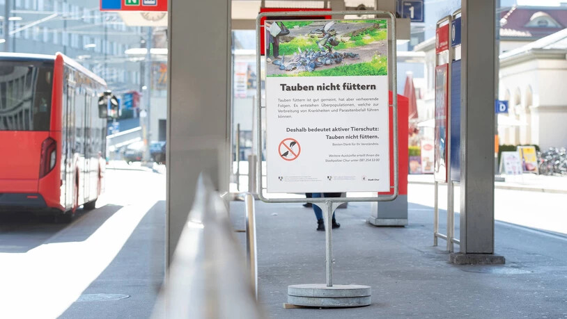 Bahnhof Chur: Hier erklärt der Text auf einem Plakat, weshalb das Füttern von Tauben negative Folgen haben kann.