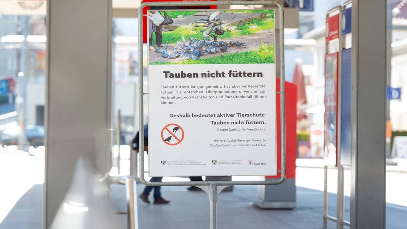 Gemeinsame Sache: Die Stadt Chur und der Kanton Graubünden machen  mit einem Plakat am Bahnhof Chur die Bevölkerung auf das Fütterungsverbot aufmerksam .
