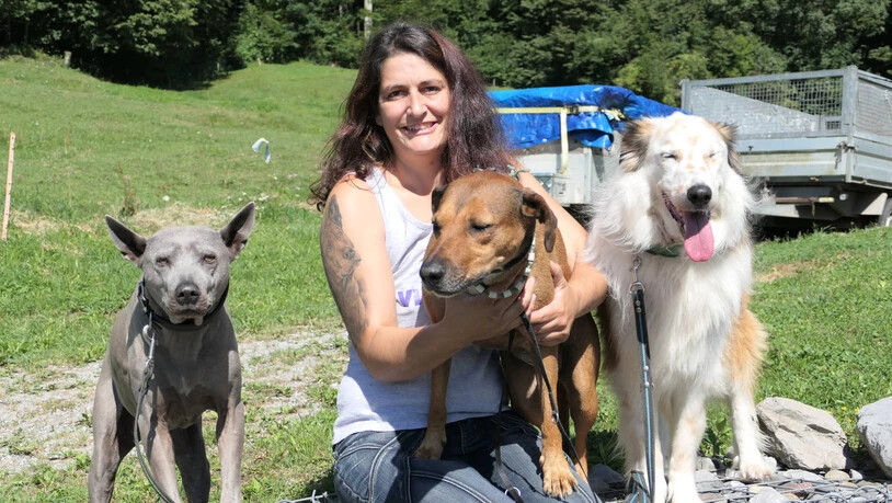 Hat wegen voller Hundeheime alle Hände voll zu tun: Jeannette Beer, Hundetrainerin und Gründerin der Hundeschule VIPfötli in Schwändi. Anders als viele Heimhunde muss sie ihre eigenen Chaang, Lia und Yuri (v.l.n.r.) nicht mehr erziehen.
