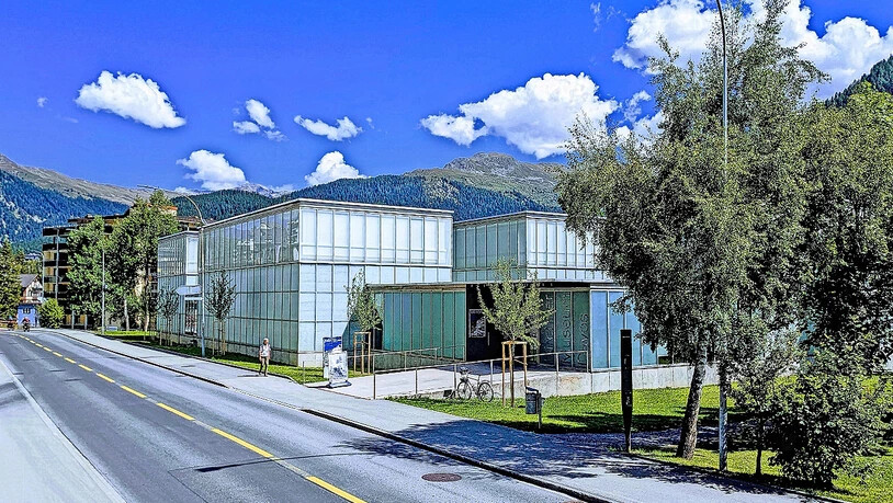 Die jungen Zitterpappeln werden mit der Zeit hoch aufwachsen.