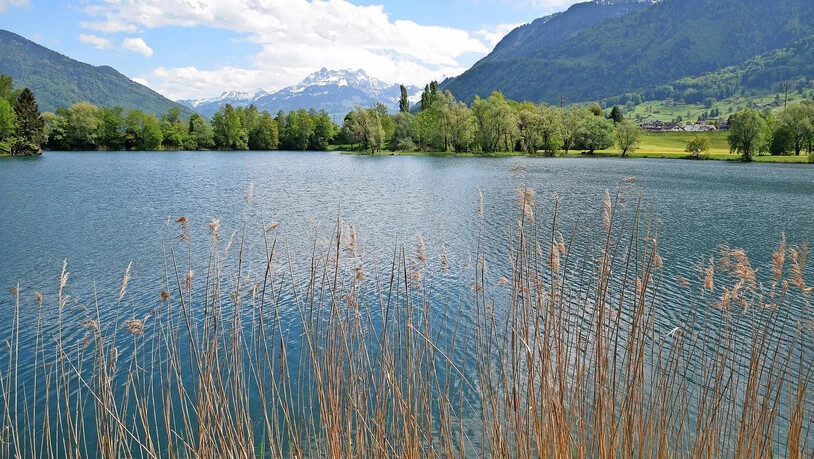 Noch ist Baden im Hirschlensee verboten: Das soll sich ändern. Die Gemeinde Reichenburg will eine Badi bauen. 
