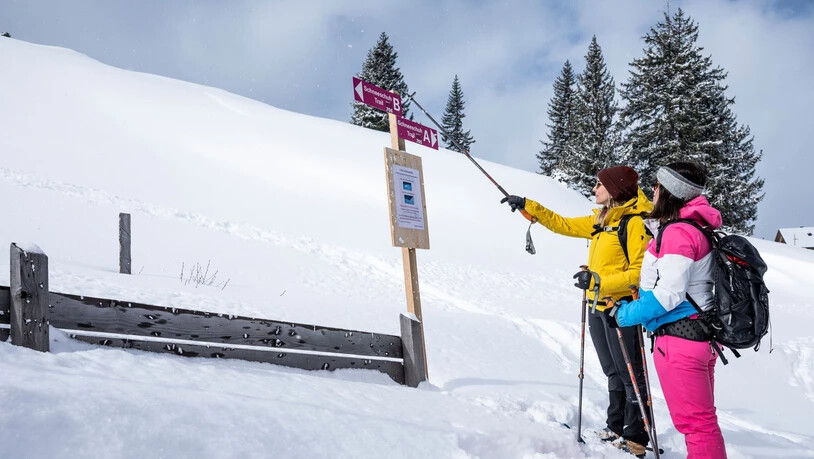 Auf dem Flumser Kleinberg gibt es zwei signalisierte Schneeschuhtouren.