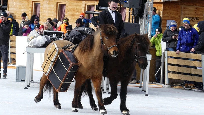 Die Islandpferdereiter zeigten in einem Schaubild, wie ihre Pferde in ihrer Heimat eingesetzt wurden: Zuvorderst der Vater mit dem Gepäck . . .
