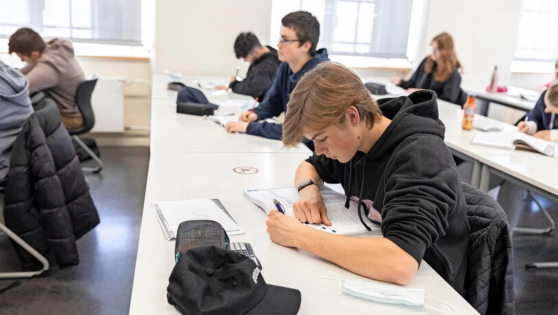 Die Neugier ist gross: Mithilfe des Programms können Lernende viel einfacher zu Lösungen kommen.