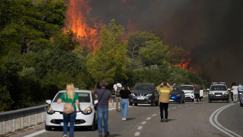 Nahe an den Flammen: Auch in der Nähe von Athen wurden Tausende von Menschen evakuiert.