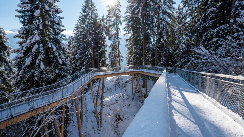 Ein 1,56 Kilometer langer Steg durch den Wald: Er bietet ein interaktives Naturerlebnis auch im Winter.