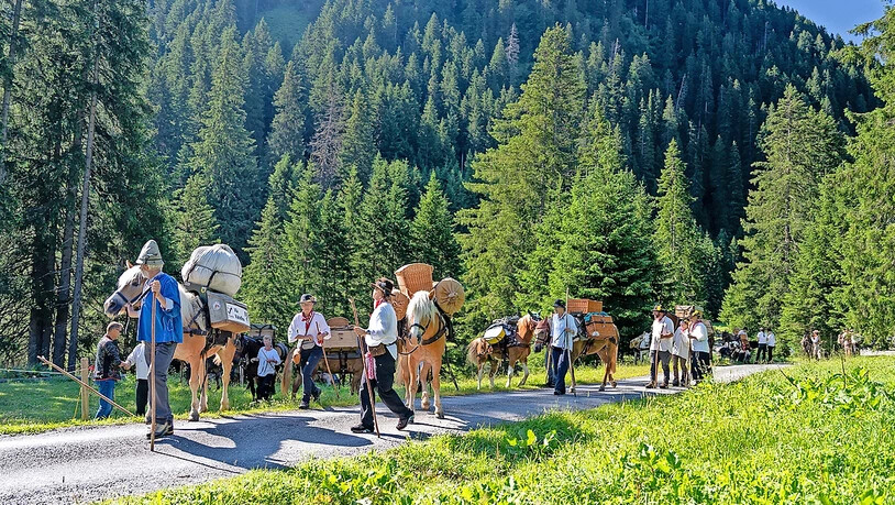 Aufstieg vom Grüenbödeli Richtung Wolfgangpass.  