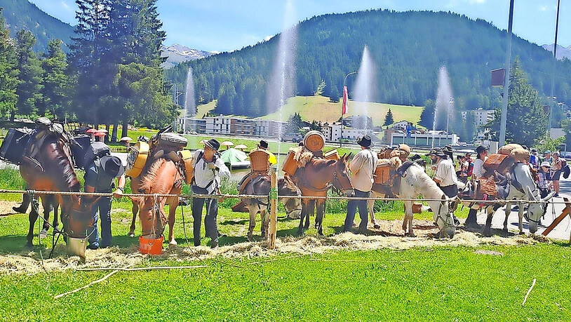 Auch beim Seehofseeli wurden zuerst die Vierbeiner versorgt, ehe sich die Menschen stärkten. 