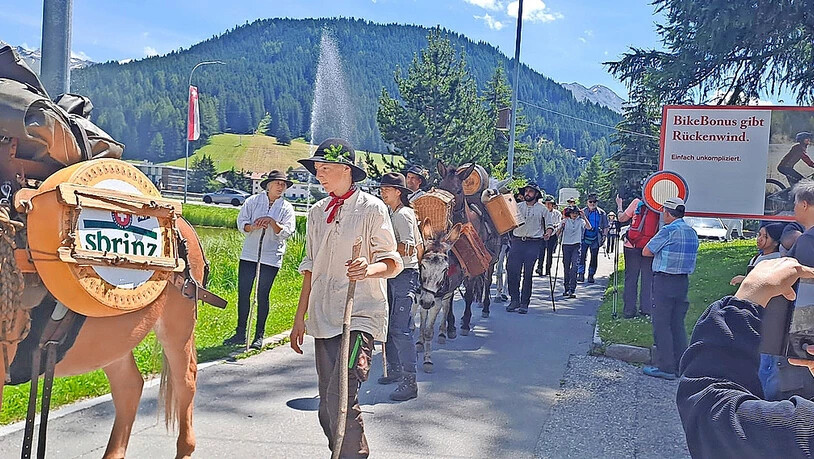 Ankunft der Säumerkolonne auf dem Seehofseeli-Areal in Davos Dorf. 