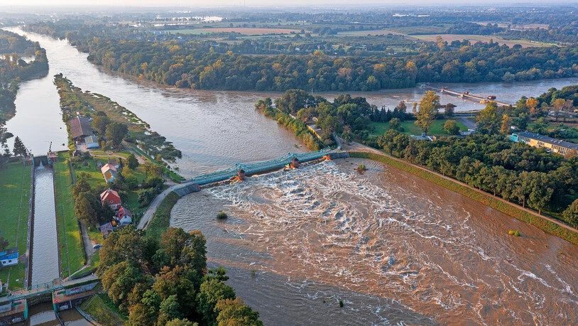 Im Südwesten Polens: Nach den heftigen Regenfällen der letzten Tage ist der Wasserpegel der Oder nahe Breslau gefährlich hoch gestiegen.