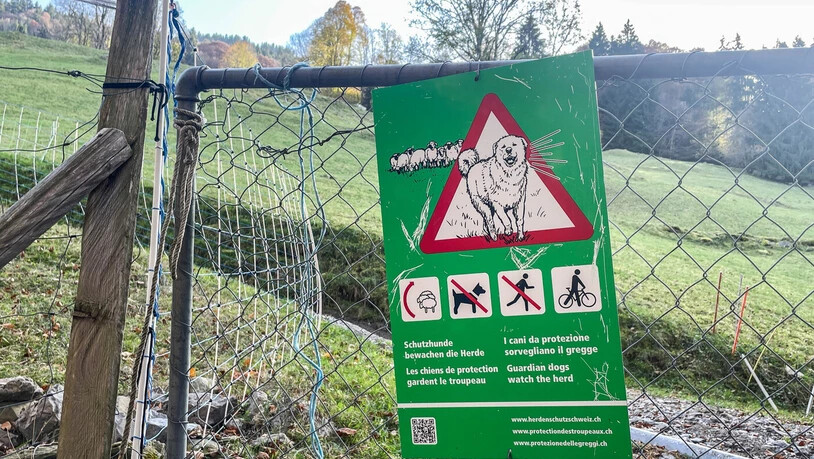 Auf dieser Weide oberhalb von Mollis passiert der Vorfall: Ein Schild warnt vor den Herdenschutzhunden.