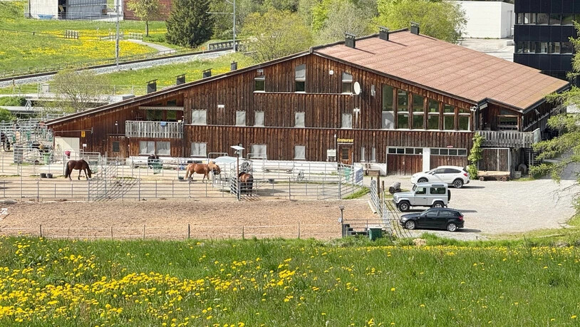 Die Reithalle und ihr Angebot sind der Gemeinde wichtig genug, sie zu übernehmen.  