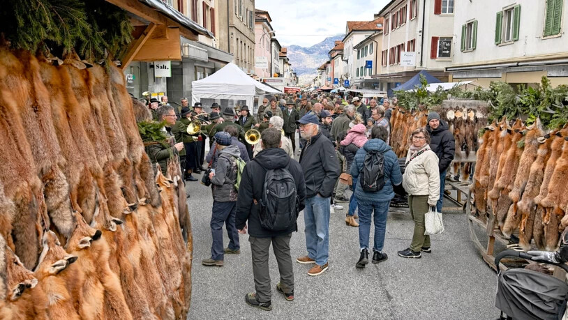 Der Fellmarkt in Thusis ist weit mehr als ein Handelsort: Er ist ein lebendiger Treffpunkt für Jäger und Interessierte, Einheimische wie Gäste, Jung und Alt.  