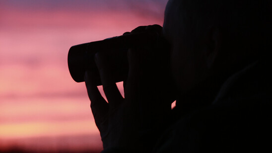 In der Stille des Morgens: Ein Vogelbeobachter nutzt die ruhigen Stunden der Dämmerung, um die heimische Vogelwelt zu beobachten.